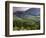 Castelnuovo Del'Abate, Tuscany, Italy-Doug Pearson-Framed Photographic Print