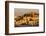 Castelo de Sao Jorge, Lisbon, Portugal-Mark A Johnson-Framed Photographic Print