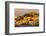 Castelo de Sao Jorge, Lisbon, Portugal-Mark A Johnson-Framed Photographic Print