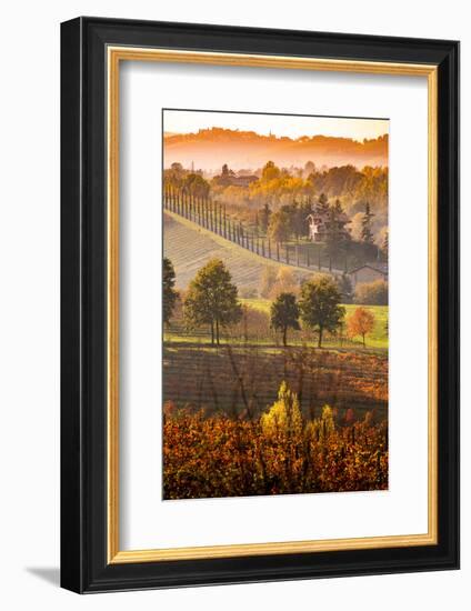 Castelvetro, Modena, Emilia Romagna-Francesco Riccardo Iacomino-Framed Photographic Print