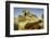 Castillo de San Felipe de Barajas, Cartagena, Colombia-Jerry Ginsberg-Framed Photographic Print