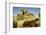 Castillo de San Felipe de Barajas, Cartagena, Colombia-Jerry Ginsberg-Framed Photographic Print