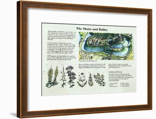 Castle Acre Castle Information Panel, Norfolk-null-Framed Giclee Print