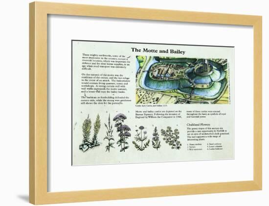 Castle Acre Castle Information Panel, Norfolk-null-Framed Giclee Print