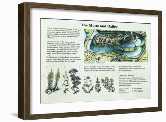 Castle Acre Castle Information Panel, Norfolk-null-Framed Giclee Print