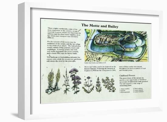 Castle Acre Castle Information Panel, Norfolk-null-Framed Giclee Print