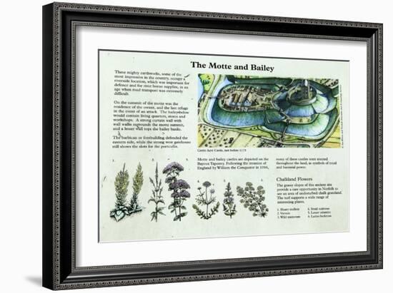 Castle Acre Castle Information Panel, Norfolk-null-Framed Giclee Print