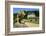 Castle and Gardens of Valmer, Indre et Loire, Centre, France, Europe-Nathalie Cuvelier-Framed Photographic Print