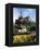 Castle and Princes Street Garden Fountain, Edinburgh, Lothian, Scotland, United Kingdom-Neale Clarke-Framed Premier Image Canvas