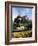 Castle and Princes Street Garden Fountain, Edinburgh, Lothian, Scotland, United Kingdom-Neale Clarke-Framed Photographic Print