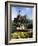 Castle and Princes Street Garden Fountain, Edinburgh, Lothian, Scotland, United Kingdom-Neale Clarke-Framed Photographic Print