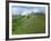 Castle at Castle Acre, Norfolk, England, United Kingdom, Europe-Pate Jenny-Framed Photographic Print