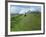 Castle at Castle Acre, Norfolk, England, United Kingdom, Europe-Pate Jenny-Framed Photographic Print