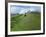 Castle at Castle Acre, Norfolk, England, United Kingdom, Europe-Pate Jenny-Framed Photographic Print