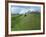 Castle at Castle Acre, Norfolk, England, United Kingdom, Europe-Pate Jenny-Framed Photographic Print