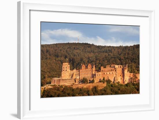Castle at sunset, Heidelberg, Baden-Wurttemberg, Germany, Europe-Markus Lange-Framed Photographic Print