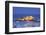 Castle Cornet and the Harbour, St. Peter Port, Guernsey, Channel Islands-Neil Farrin-Framed Photographic Print