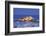 Castle Cornet and the Harbour, St. Peter Port, Guernsey, Channel Islands-Neil Farrin-Framed Photographic Print