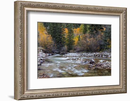 Castle Creek in Autumn in the White River National Forest Near Aspen, Colorado, Usa-Chuck Haney-Framed Photographic Print