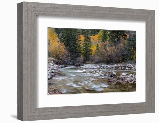 Castle Creek in Autumn in the White River National Forest Near Aspen, Colorado, Usa-Chuck Haney-Framed Photographic Print