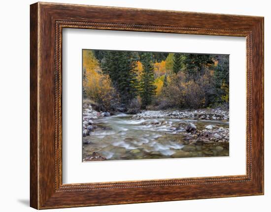 Castle Creek in Autumn in the White River National Forest Near Aspen, Colorado, Usa-Chuck Haney-Framed Photographic Print