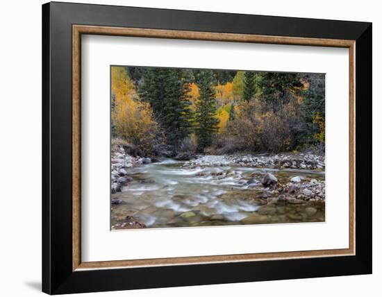 Castle Creek in Autumn in the White River National Forest Near Aspen, Colorado, Usa-Chuck Haney-Framed Photographic Print