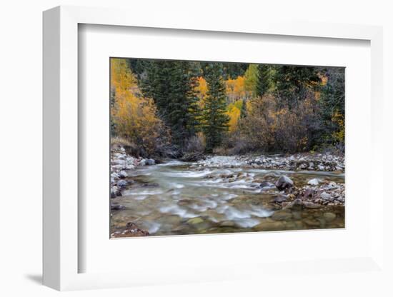 Castle Creek in Autumn in the White River National Forest Near Aspen, Colorado, Usa-Chuck Haney-Framed Photographic Print