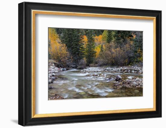 Castle Creek in Autumn in the White River National Forest Near Aspen, Colorado, Usa-Chuck Haney-Framed Photographic Print