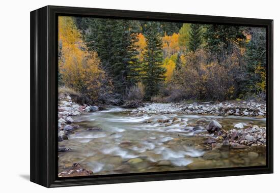 Castle Creek in Autumn in the White River National Forest Near Aspen, Colorado, Usa-Chuck Haney-Framed Premier Image Canvas