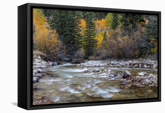 Castle Creek in Autumn in the White River National Forest Near Aspen, Colorado, Usa-Chuck Haney-Framed Premier Image Canvas