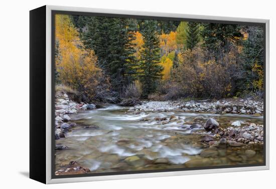 Castle Creek in Autumn in the White River National Forest Near Aspen, Colorado, Usa-Chuck Haney-Framed Premier Image Canvas