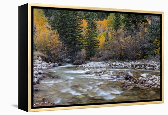 Castle Creek in Autumn in the White River National Forest Near Aspen, Colorado, Usa-Chuck Haney-Framed Premier Image Canvas