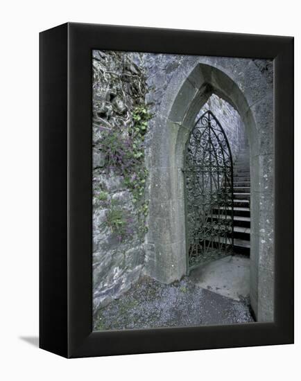 Castle Doorway, County Mayo, Ireland-William Sutton-Framed Premier Image Canvas