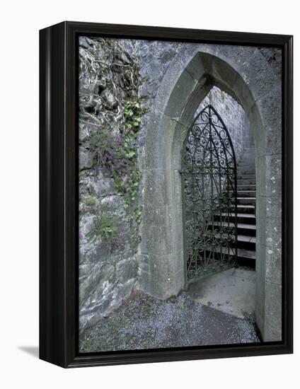 Castle Doorway, County Mayo, Ireland-William Sutton-Framed Premier Image Canvas