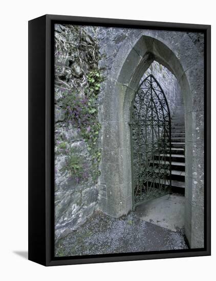 Castle Doorway, County Mayo, Ireland-William Sutton-Framed Premier Image Canvas