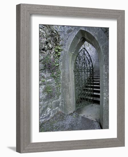 Castle Doorway, County Mayo, Ireland-William Sutton-Framed Photographic Print