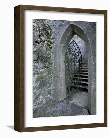 Castle Doorway, County Mayo, Ireland-William Sutton-Framed Photographic Print