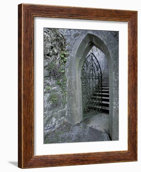 Castle Doorway, County Mayo, Ireland-William Sutton-Framed Photographic Print