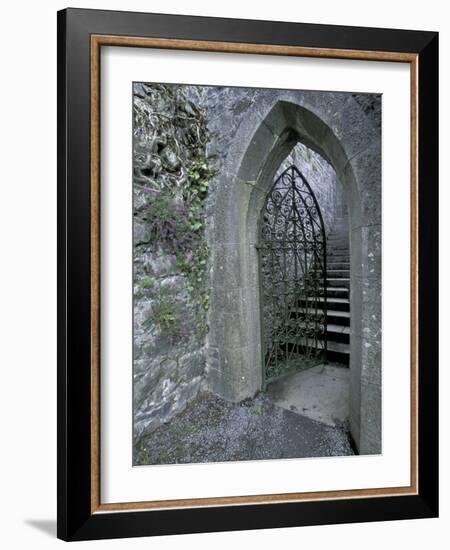 Castle Doorway, County Mayo, Ireland-William Sutton-Framed Photographic Print