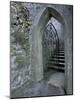 Castle Doorway, County Mayo, Ireland-William Sutton-Mounted Photographic Print