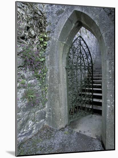 Castle Doorway, County Mayo, Ireland-William Sutton-Mounted Photographic Print