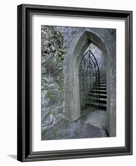 Castle Doorway, County Mayo, Ireland-William Sutton-Framed Photographic Print