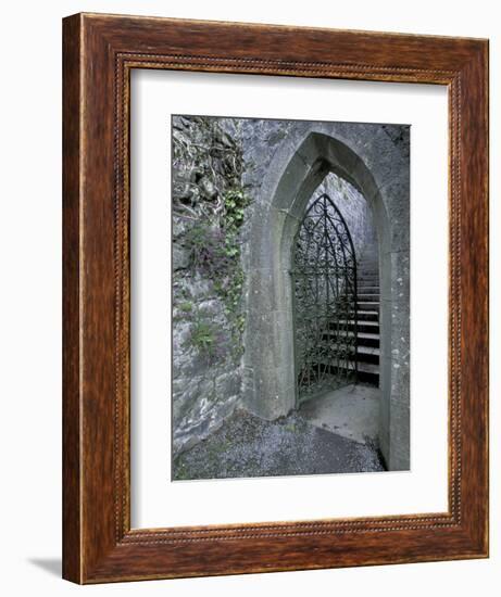 Castle Doorway, County Mayo, Ireland-William Sutton-Framed Photographic Print