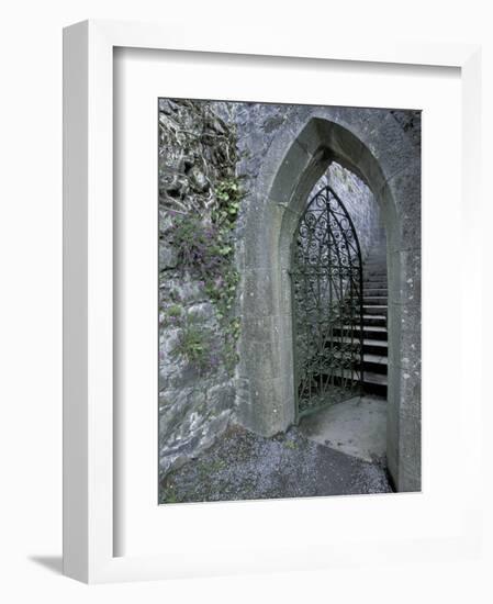 Castle Doorway, County Mayo, Ireland-William Sutton-Framed Photographic Print