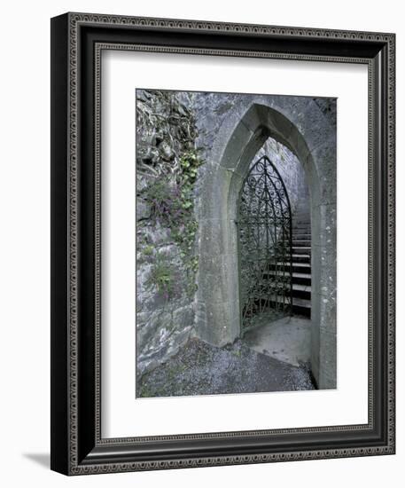 Castle Doorway, County Mayo, Ireland-William Sutton-Framed Photographic Print