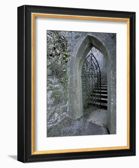 Castle Doorway, County Mayo, Ireland-William Sutton-Framed Photographic Print