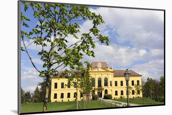 Castle Eckartsau, Austria, the Danube, Eckartsau-Volker Preusser-Mounted Photographic Print