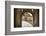 Castle Gate to the Albrechtsburg in Mei§en, View at the Houses at the Freiheit-Uwe Steffens-Framed Photographic Print