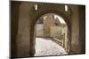 Castle Gate to the Albrechtsburg in Mei§en, View at the Houses at the Freiheit-Uwe Steffens-Mounted Photographic Print