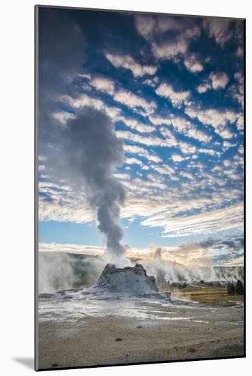 Castle Geyser And Upper Geyser Basin At Sunrise, Yellowstone National Park-Bryan Jolley-Mounted Photographic Print